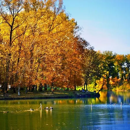 Principessa Apartment *