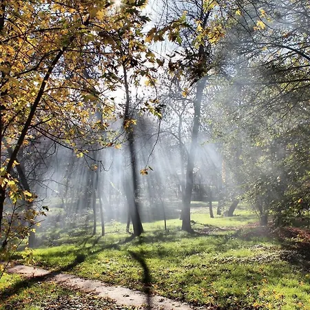 Apartment Principessa